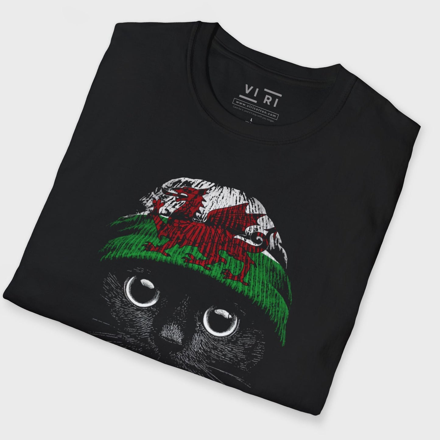 Statement Made Welsh