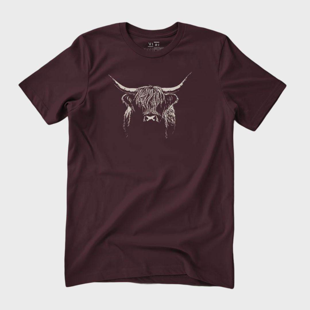 Scottish Bull