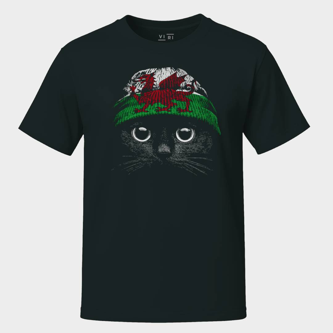 Statement Made Welsh