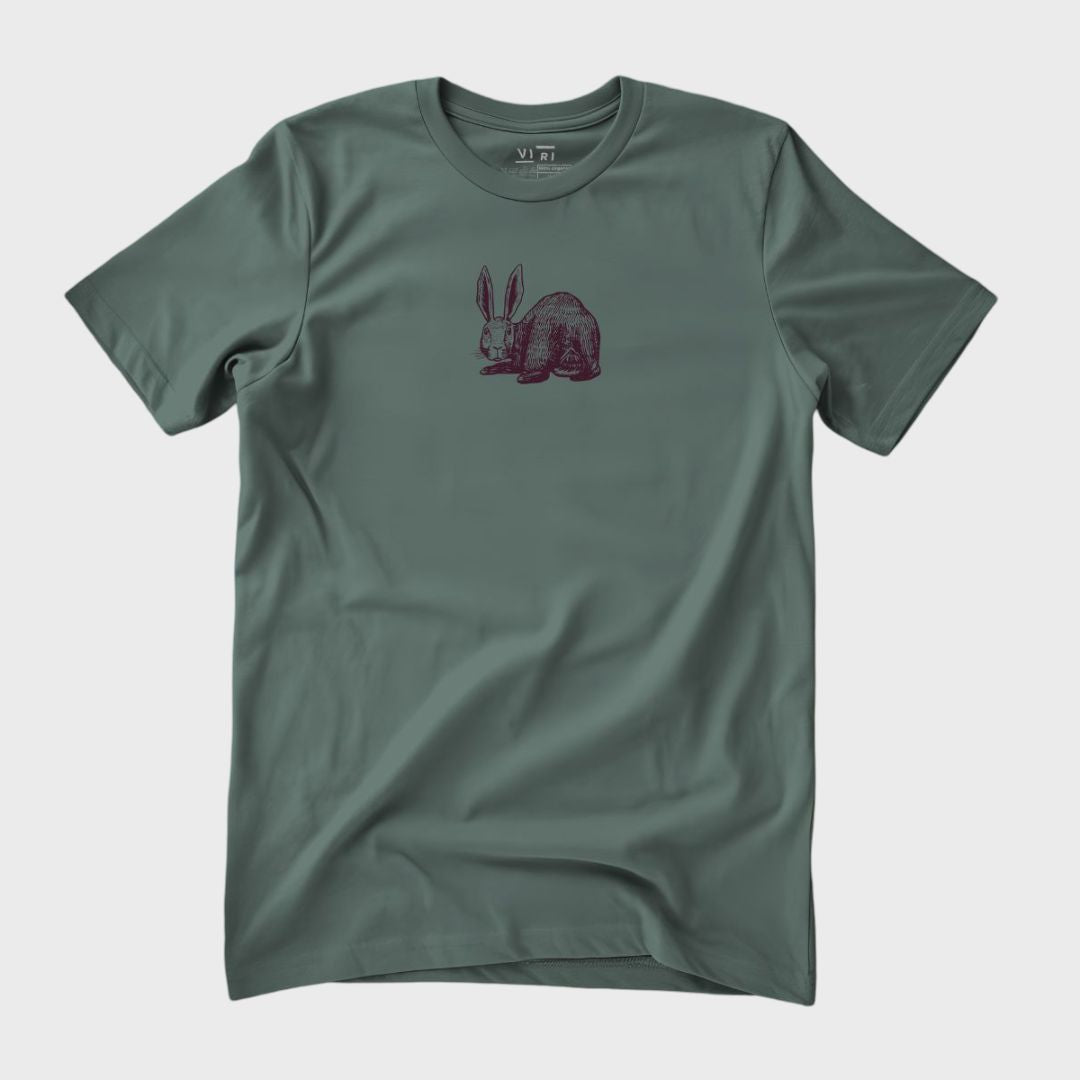 Rabbit Look