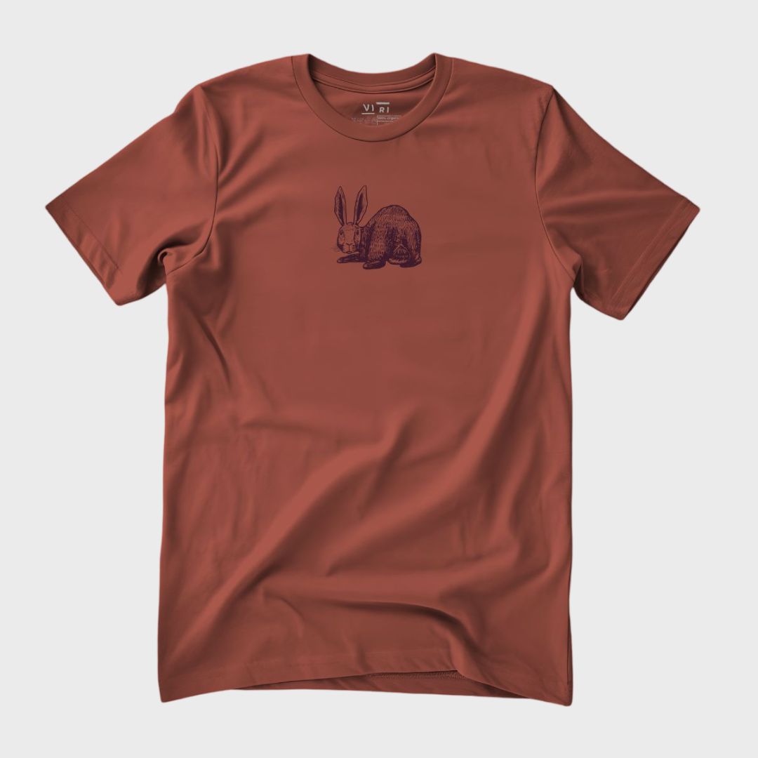 Rabbit Look