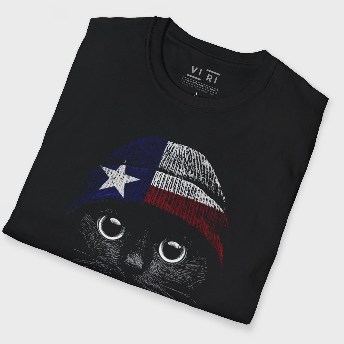 Statement Made Texas
