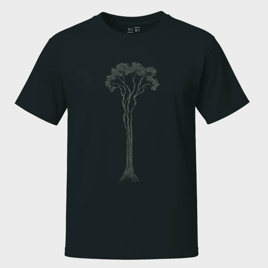 Lone Tree
