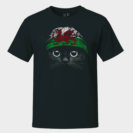 Statement Made Welsh