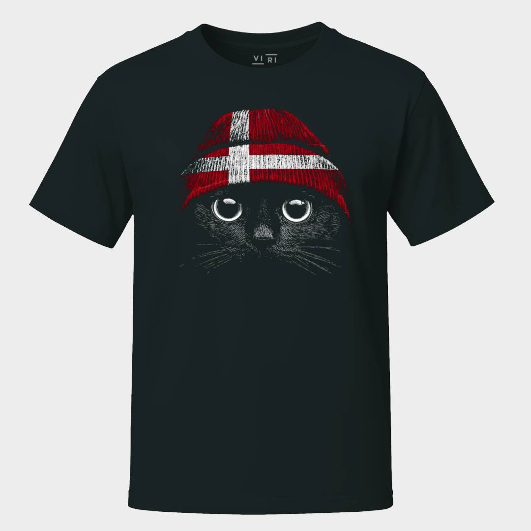 Statement Made Norwegian